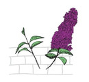 Kellermann Gartengestaltung Logo Kellermann Gartengestaltung