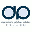 Diagnostische Pathologie Potsdam Logo Diagnostische Pathologie Potsdam