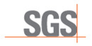 SGS Germany GmbH Logo SGS Germany GmbH
