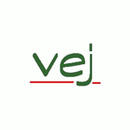 Verein für Erlebnispädagogik und Jugendsozialarbeit e.V. Logo Verein für Erlebnispädagogik und Jugendsozialarbeit e.V.