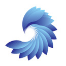 Blue Phoenix Deutschland GmbH Logo Blue Phoenix Deutschland GmbH