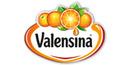 Valensina GmbH Logo Valensina GmbH
