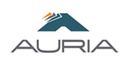 Auria Solutions GmbH Logo Auria Solutions GmbH